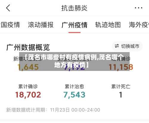 【茂名市哪些村有疫情病例,茂名哪个地方有疫情】-第2张图片