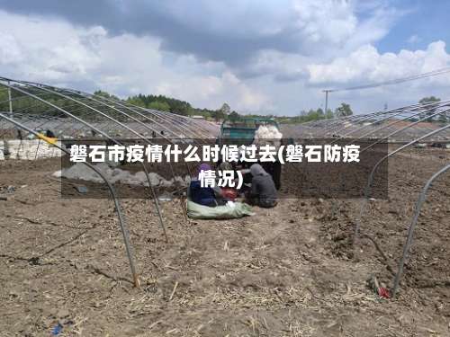 磐石市疫情什么时候过去(磐石防疫情况)-第2张图片