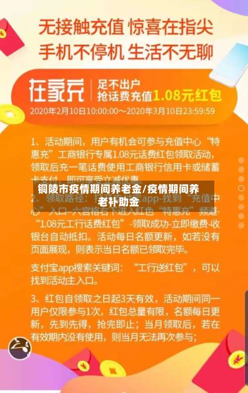 铜陵市疫情期间养老金/疫情期间养老补助金