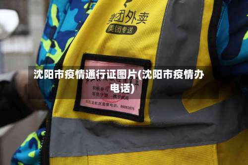 沈阳市疫情通行证图片(沈阳市疫情办电话)-第2张图片
