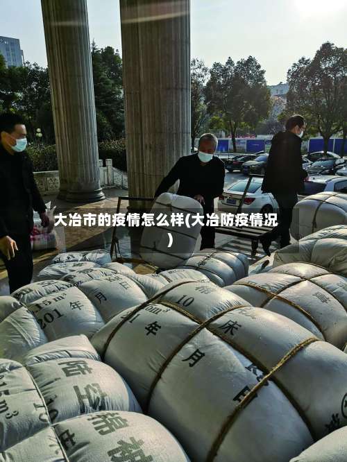 大冶市的疫情怎么样(大冶防疫情况)