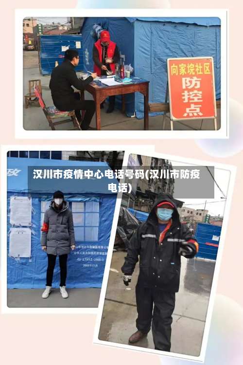 汉川市疫情中心电话号码(汉川市防疫电话)-第2张图片