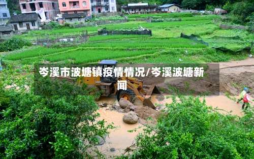 岑溪市波塘镇疫情情况/岑溪波塘新闻-第2张图片