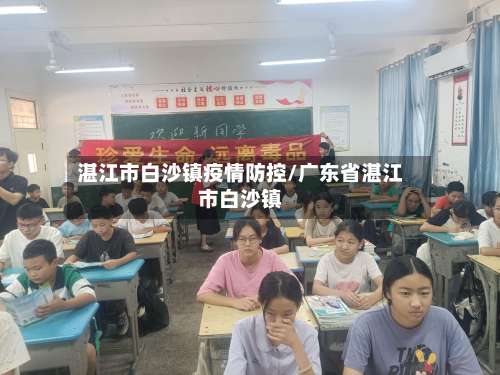 湛江市白沙镇疫情防控/广东省湛江市白沙镇