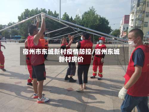 宿州市东城新村疫情防控/宿州东城新村房价-第2张图片