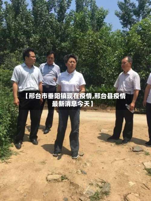 【邢台市垂阳镇现在疫情,邢台县疫情最新消息今天】-第3张图片