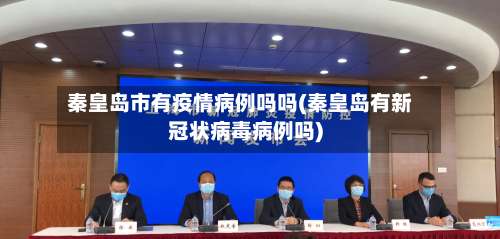 秦皇岛市有疫情病例吗吗(秦皇岛有新冠状病毒病例吗)-第2张图片