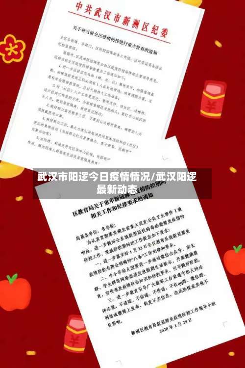 武汉市阳逻今日疫情情况/武汉阳逻最新动态-第2张图片