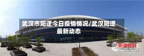 武汉市阳逻今日疫情情况/武汉阳逻最新动态