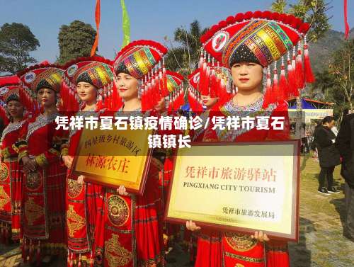 凭祥市夏石镇疫情确诊/凭祥市夏石镇镇长-第2张图片