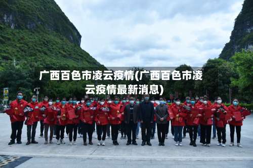 广西百色市凌云疫情(广西百色市凌云疫情最新消息)