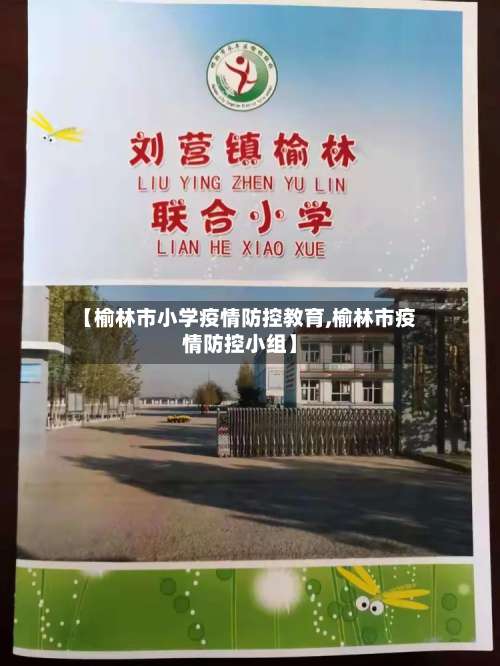【榆林市小学疫情防控教育,榆林市疫情防控小组】