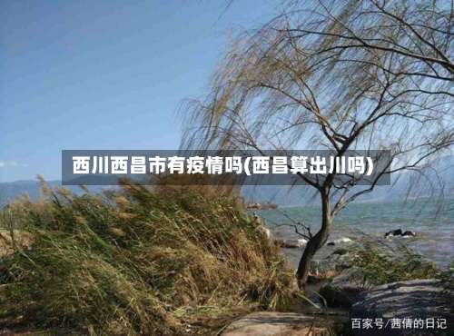 西川西昌市有疫情吗(西昌算出川吗)