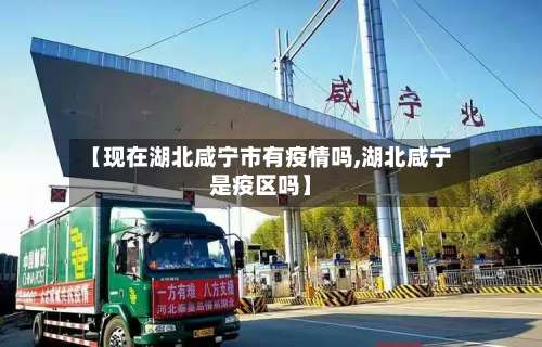 【现在湖北咸宁市有疫情吗,湖北咸宁是疫区吗】-第2张图片