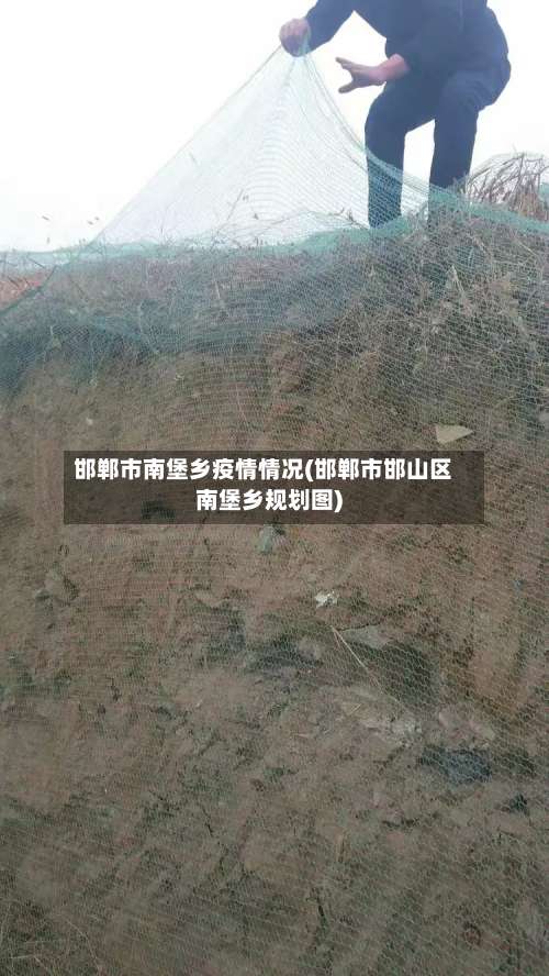 邯郸市南堡乡疫情情况(邯郸市邯山区南堡乡规划图)