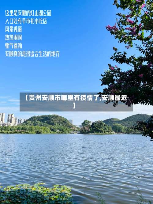 【贵州安顺市哪里有疫情了,安顺最近】-第3张图片