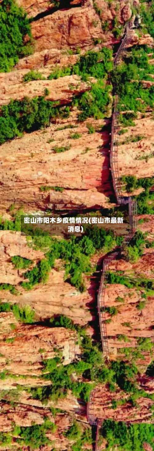 密山市阳木乡疫情情况(密山市最新消息)-第2张图片