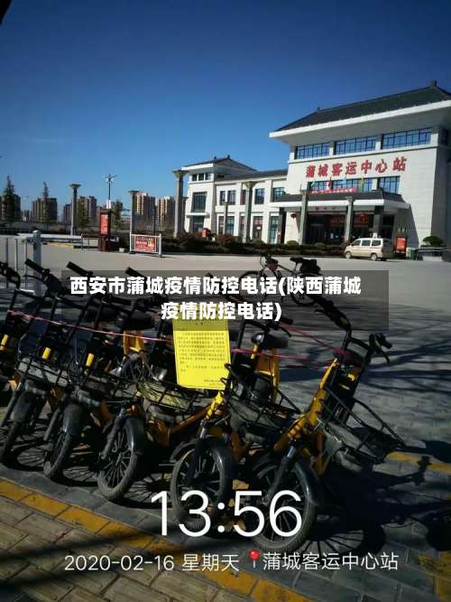 西安市蒲城疫情防控电话(陕西蒲城疫情防控电话)