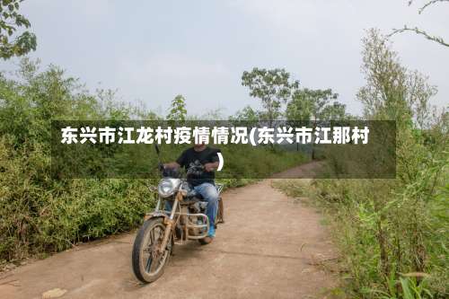 东兴市江龙村疫情情况(东兴市江那村)-第2张图片