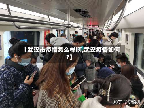 【武汉市疫情怎么样啊,武汉疫情如何?】-第2张图片