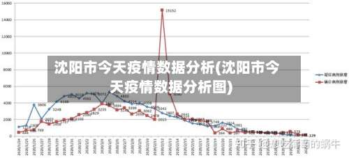 沈阳市今天疫情数据分析(沈阳市今天疫情数据分析图)