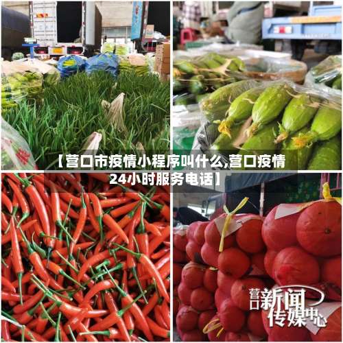 【营口市疫情小程序叫什么,营口疫情24小时服务电话】