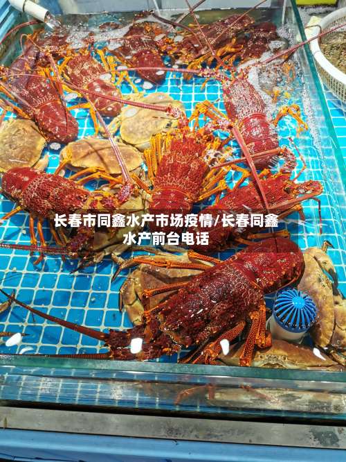 长春市同鑫水产市场疫情/长春同鑫水产前台电话-第2张图片
