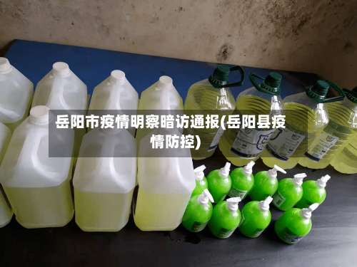 岳阳市疫情明察暗访通报(岳阳县疫情防控)