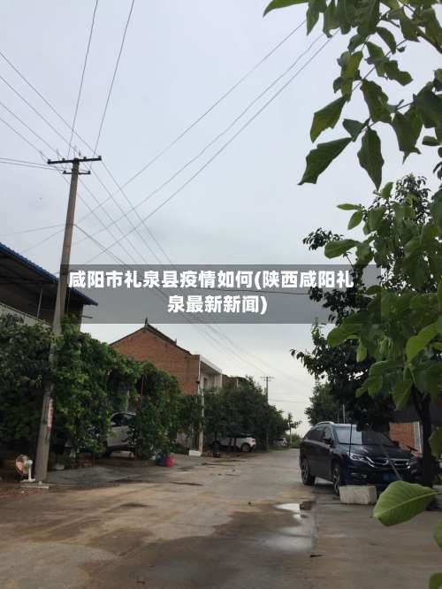 咸阳市礼泉县疫情如何(陕西咸阳礼泉最新新闻)-第2张图片