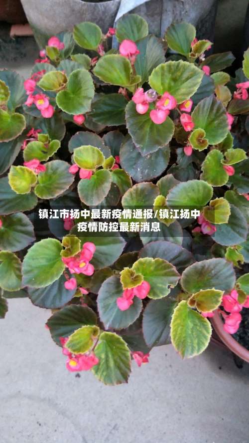 镇江市扬中最新疫情通报/镇江扬中疫情防控最新消息-第2张图片