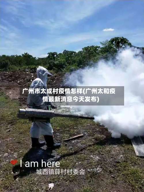 广州市太成村疫情怎样(广州太和疫情最新消息今天发布)-第2张图片