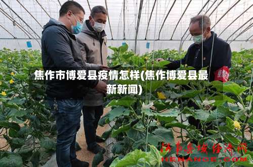 焦作市博爱县疫情怎样(焦作博爱县最新新闻)-第3张图片