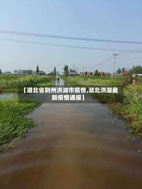 【湖北省荆州洪湖市疫情,湖北洪湖最新疫情通报】