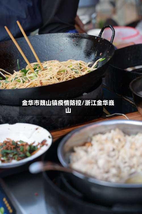 金华市魏山镇疫情防控/浙江金华巍山-第2张图片