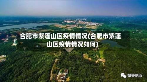 合肥市紫蓬山区疫情情况(合肥市紫蓬山区疫情情况如何)-第2张图片