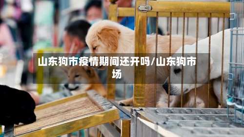 山东狗市疫情期间还开吗/山东狗市场