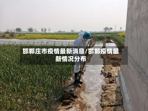 邯郸庄市疫情最新消息/邯郸疫情最新情况分布-第2张图片