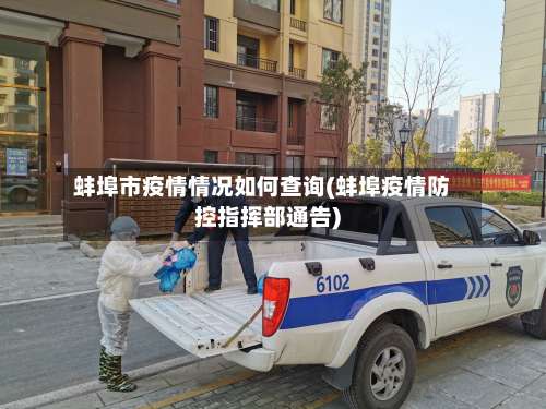 蚌埠市疫情情况如何查询(蚌埠疫情防控指挥部通告)-第2张图片