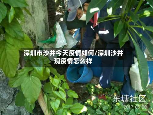 深圳市沙井今天疫情如何/深圳沙井现疫情怎么样-第2张图片