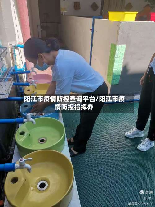 阳江市疫情防控查询平台/阳江市疫情防控指挥办-第3张图片