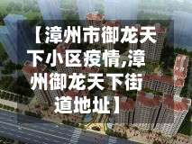 【漳州市御龙天下小区疫情,漳州御龙天下街道地址】