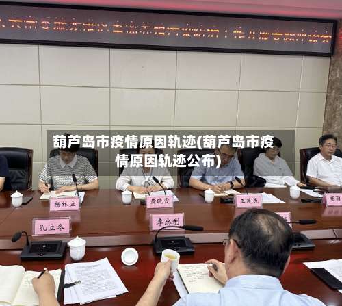 葫芦岛市疫情原因轨迹(葫芦岛市疫情原因轨迹公布)