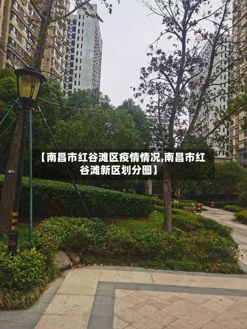 【南昌市红谷滩区疫情情况,南昌市红谷滩新区划分图】-第2张图片