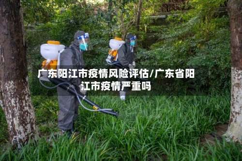 广东阳江市疫情风险评估/广东省阳江市疫情严重吗