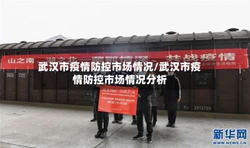 武汉市疫情防控市场情况/武汉市疫情防控市场情况分析