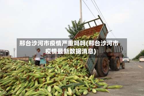 邢台沙河市疫情严重吗吗(邢台沙河市疫情最新数据消息)-第3张图片