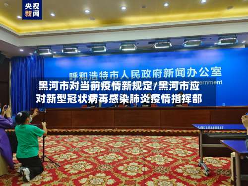 黑河市对当前疫情新规定/黑河市应对新型冠状病毒感染肺炎疫情指挥部-第3张图片