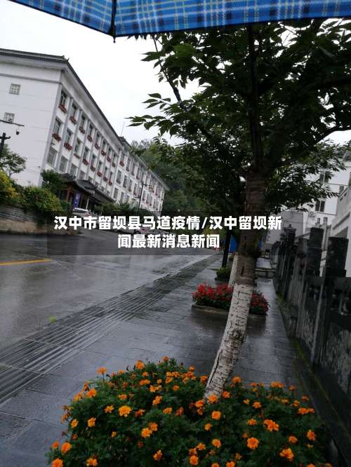 汉中市留坝县马道疫情/汉中留坝新闻最新消息新闻