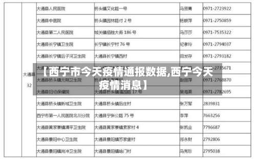 【西宁市今天疫情通报数据,西宁今天疫情消息】-第2张图片