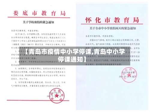 【青岛市疫情中小学停课,青岛中小学停课通知】-第3张图片